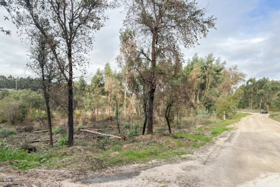 Terreno para Venda em Ramalhal