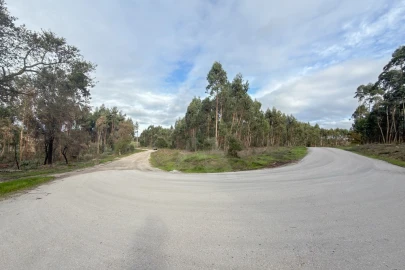 Terreno para Venda em Ramalhal