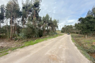 Terreno para Venda em Ramalhal