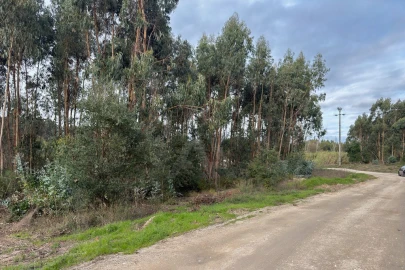 Terreno para Venda em Ramalhal