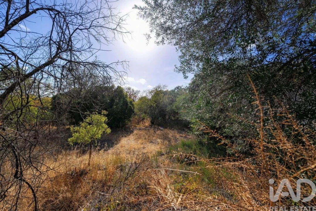 Moradia T3 para Venda em São Brás de Alportel Foto 25