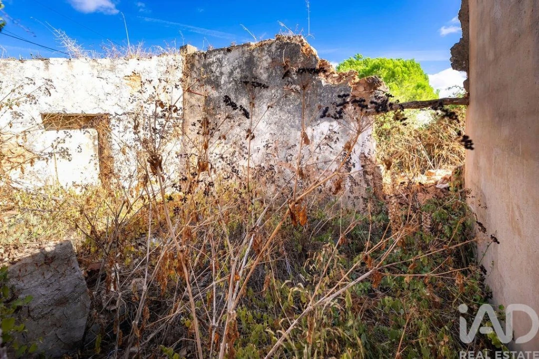 Moradia T3 para Venda em São Brás de Alportel Foto 11