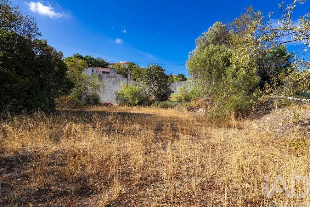 Moradia T3 para Venda em São Brás de Alportel Foto 27