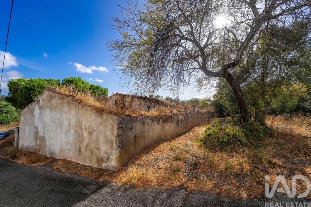 Moradia T3 para Venda em São Brás de Alportel Foto 5