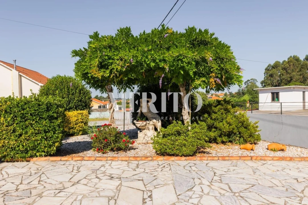 Moradia T3 para Venda em Alvarães Foto 32