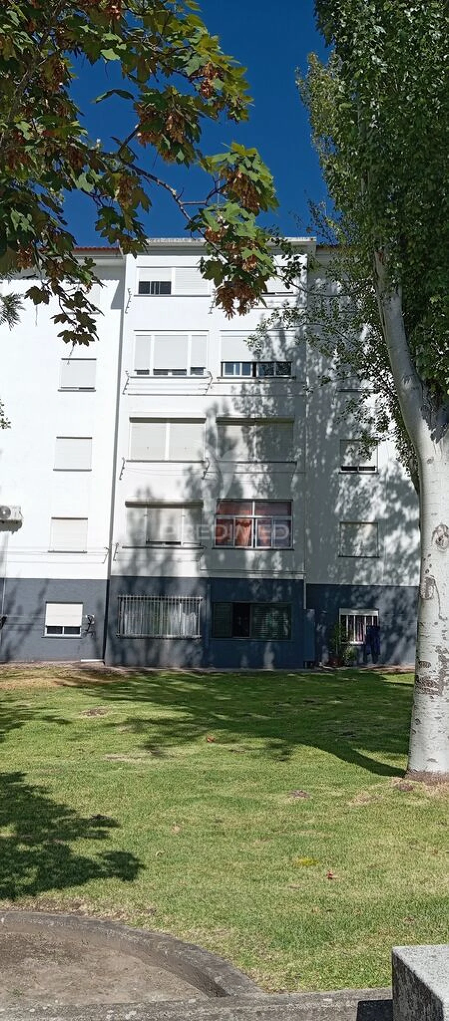 Apartamento T3 para Venda em Ribeira de Nisa e Carreiras Foto 4