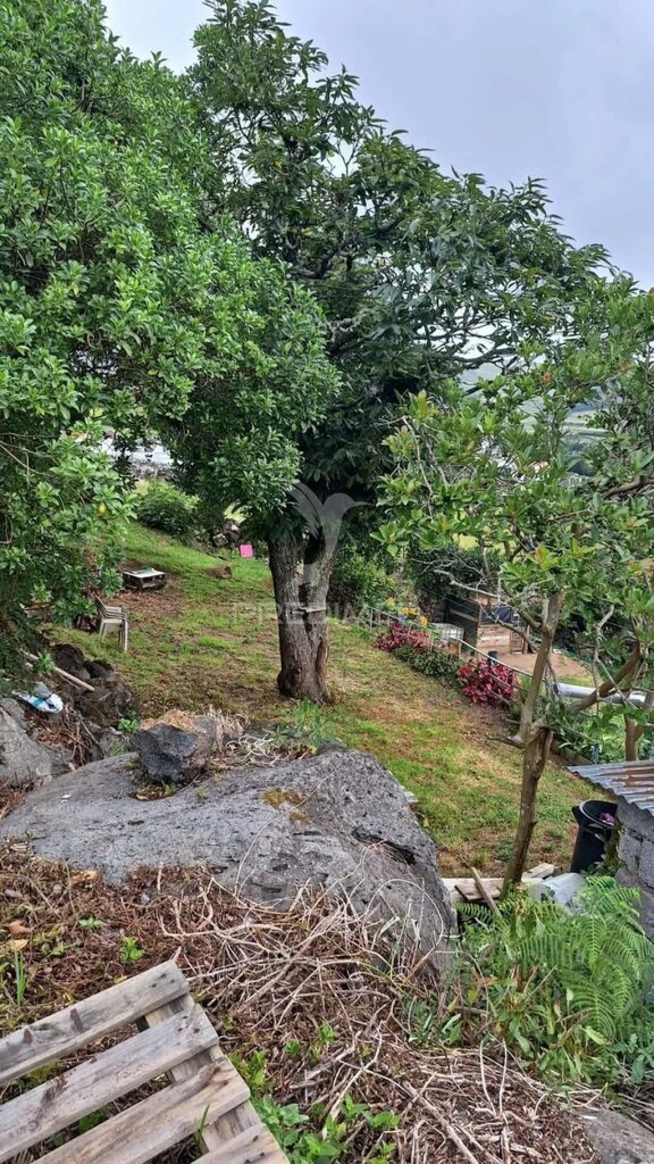 Moradia T3 para Venda em São Sebastião Foto 3