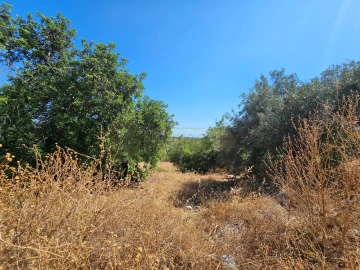 Moradia T5 para Venda em Loule (São Clemente)