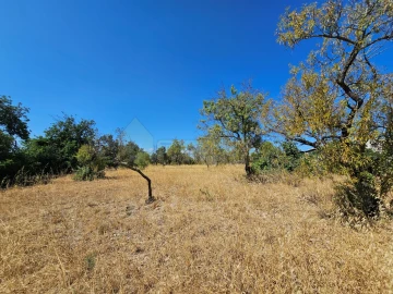 Moradia T5 para Venda em Loule (São Clemente)