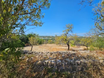 Moradia T5 para Venda em Loule (São Clemente)