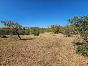 Moradia T5 para Venda em Loule (São Clemente)