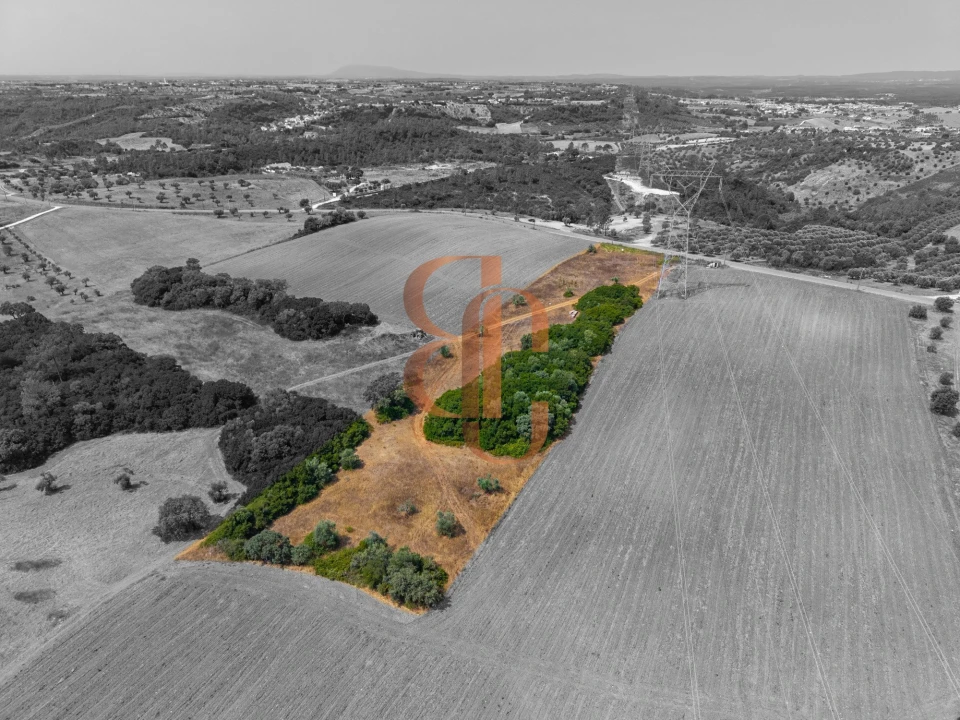 Terreno para Venda em Achete, Azoia de Baixo e Póvoa de Santarém Foto 9