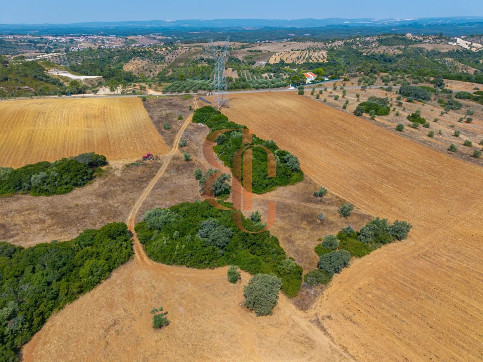 Terreno para Venda em Achete, Azoia de Baixo e Póvoa de Santarém Foto 15