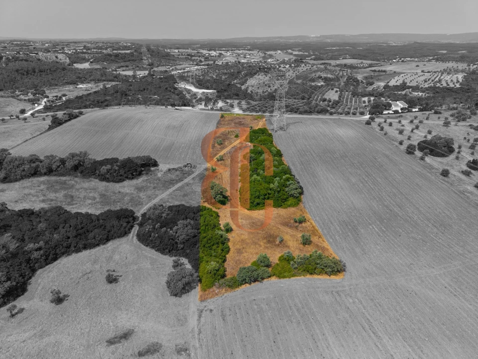 Terreno para Venda em Achete, Azoia de Baixo e Póvoa de Santarém Foto 11
