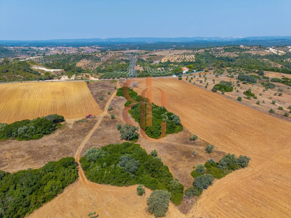 Terreno para Venda em Achete, Azoia de Baixo e Póvoa de Santarém Foto 14