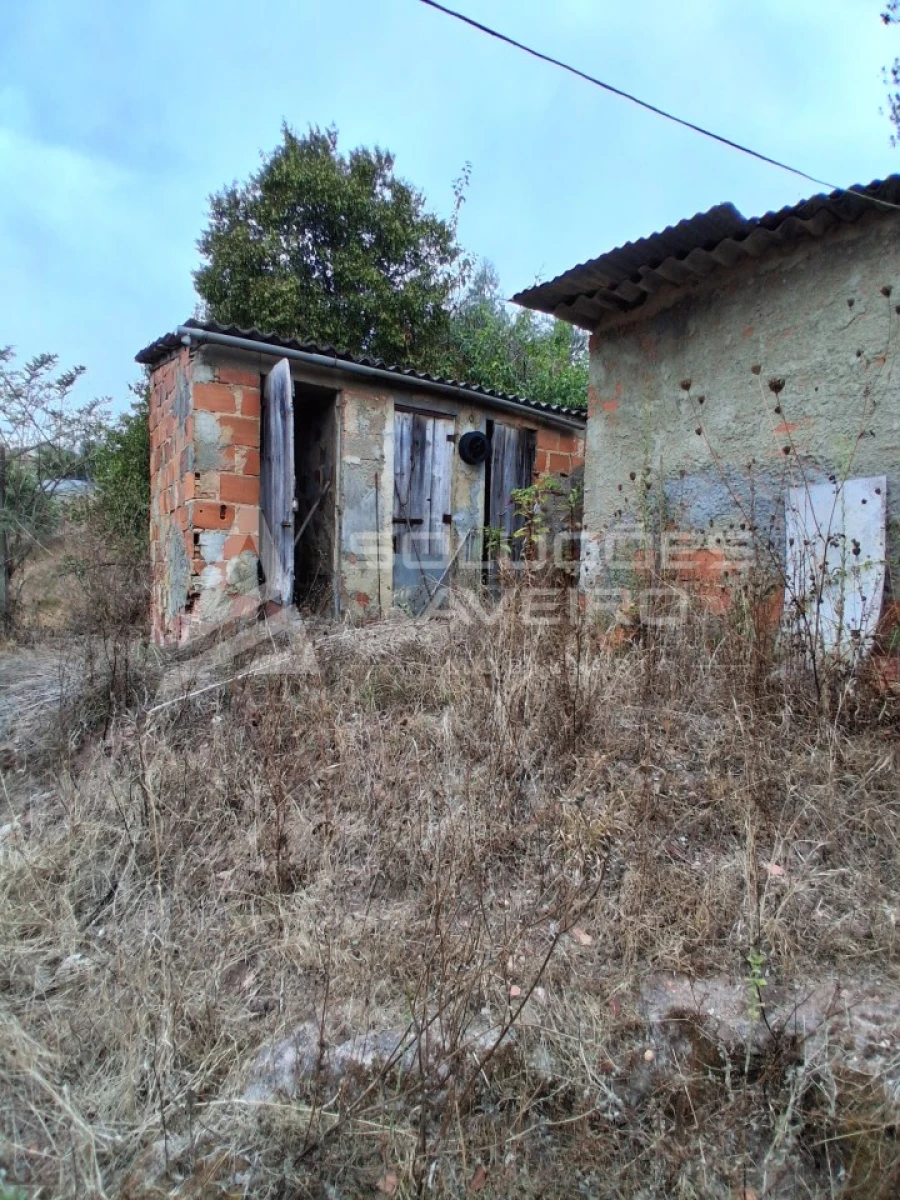Moradia T4 para Venda em Águeda e Borralha Foto 40