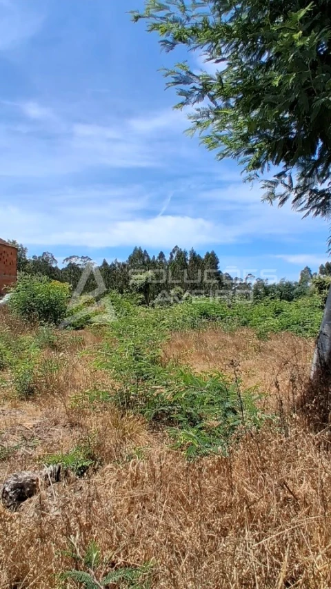 Terreno para Venda em Recardães e Espinhel