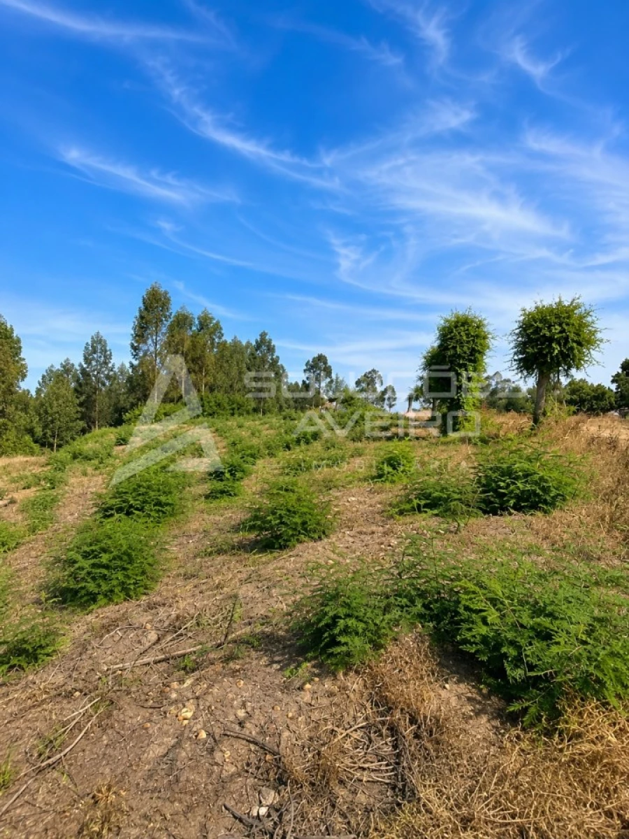 Terreno para Venda em Recardães e Espinhel Foto 7