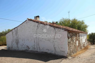 Quinta T3 para Venda em Terena (São Pedro)