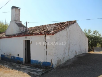 Quinta T3 para Venda em Terena (São Pedro)