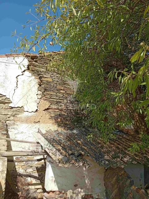 Quinta T3 para Venda em Terena (São Pedro)