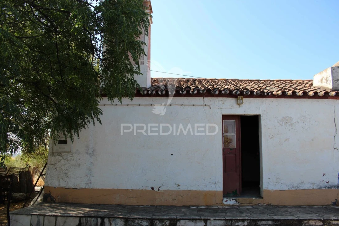 Quinta T3 para Venda em Terena (São Pedro) Foto 5