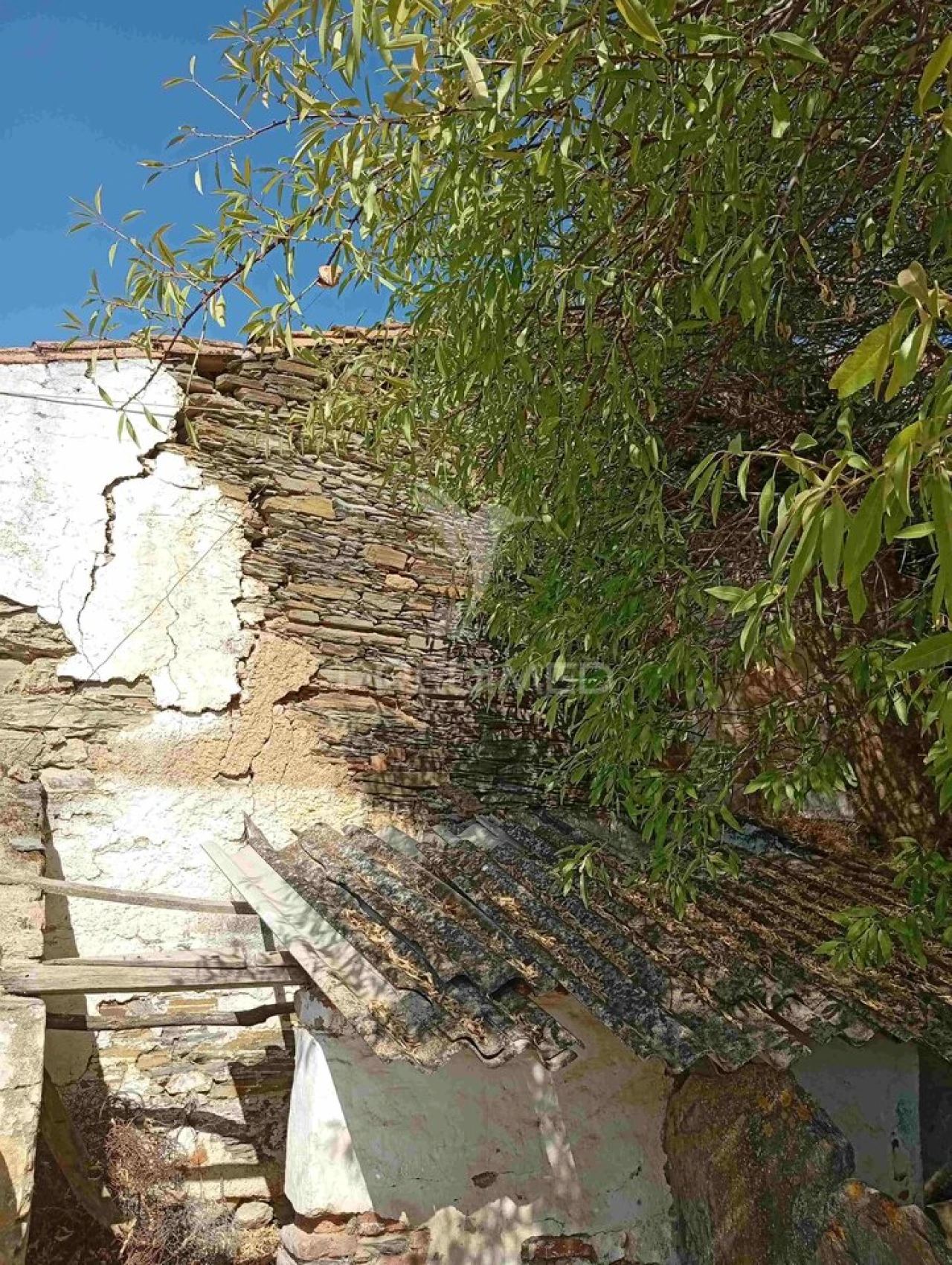 Quinta T3 para Venda em Terena (São Pedro) Foto 21
