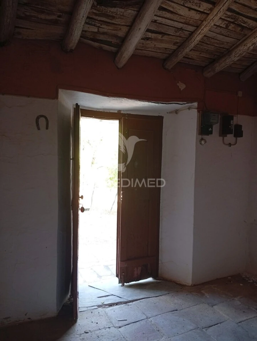 Quinta T3 para Venda em Terena (São Pedro) Foto 9