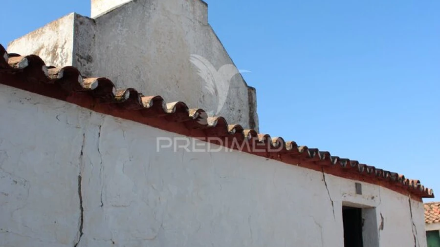 Quinta T3 para Venda em Terena (São Pedro)