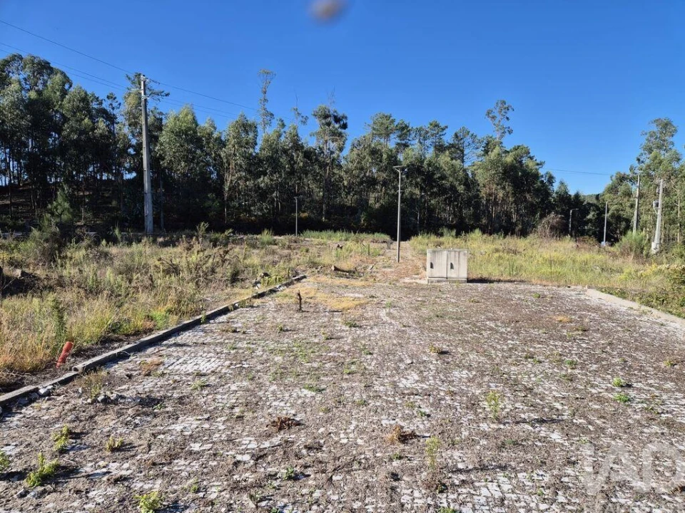 Terreno para Venda em Fajões Foto 21