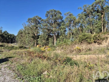 Terreno para Venda em Fajões