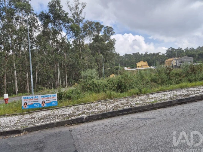 Terreno para Venda em Fajões Foto 18