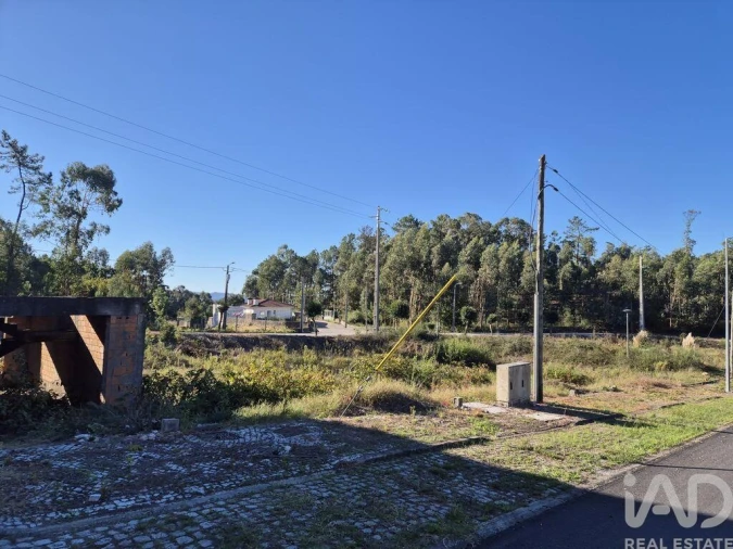Terreno para Venda em Fajões Foto 4