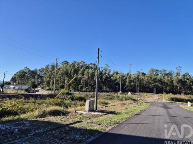 Terreno para Venda em Fajões Foto 5