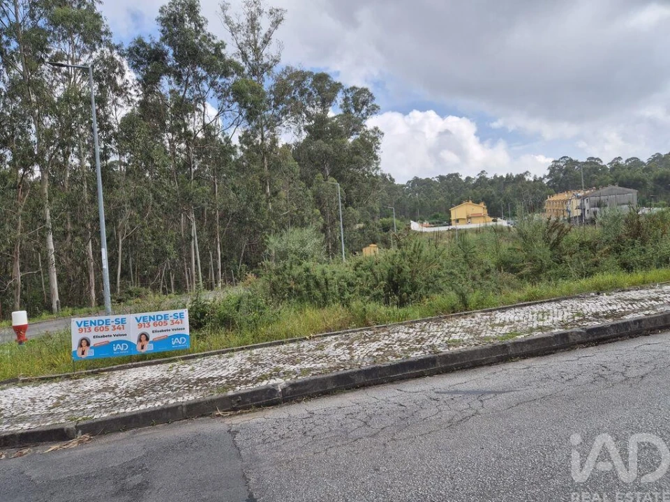 Terreno para Venda em Fajões Foto 18