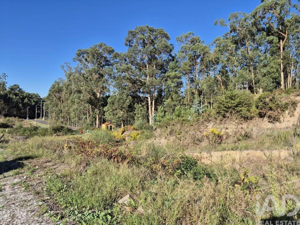 Terreno para Venda em Fajões Foto 3