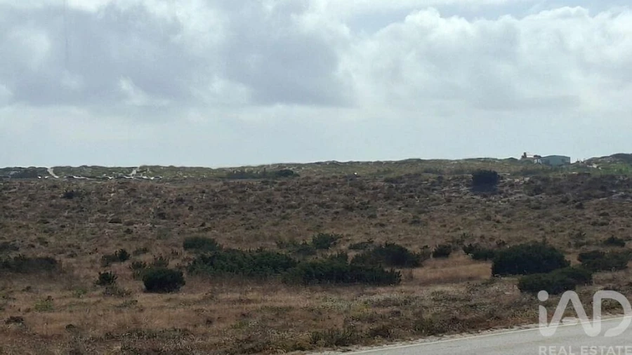 Moradia T2 para Venda em Atouguia da Baleia Foto 23