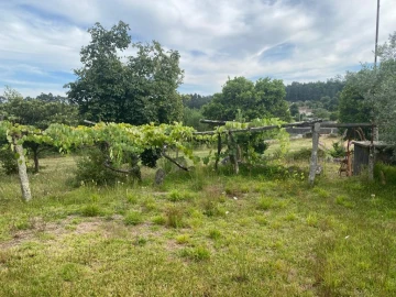 Terreno para Venda em Canedo, Vale e Vila Maior