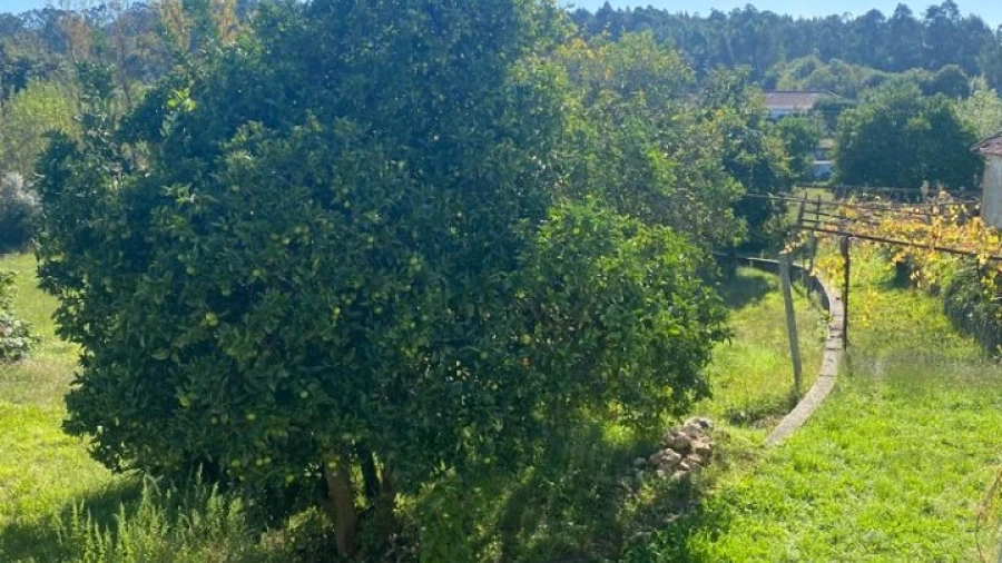 Terreno para Venda em Canedo, Vale e Vila Maior