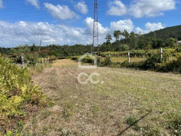 Terreno para Venda em Muro