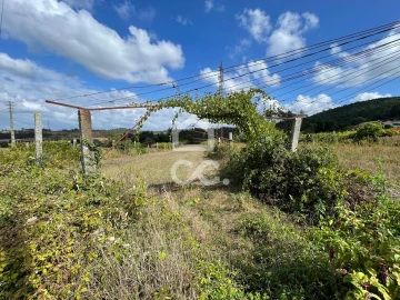 Terreno para Venda em Muro