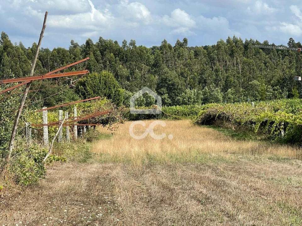 Terreno para Venda em Muro Foto 10