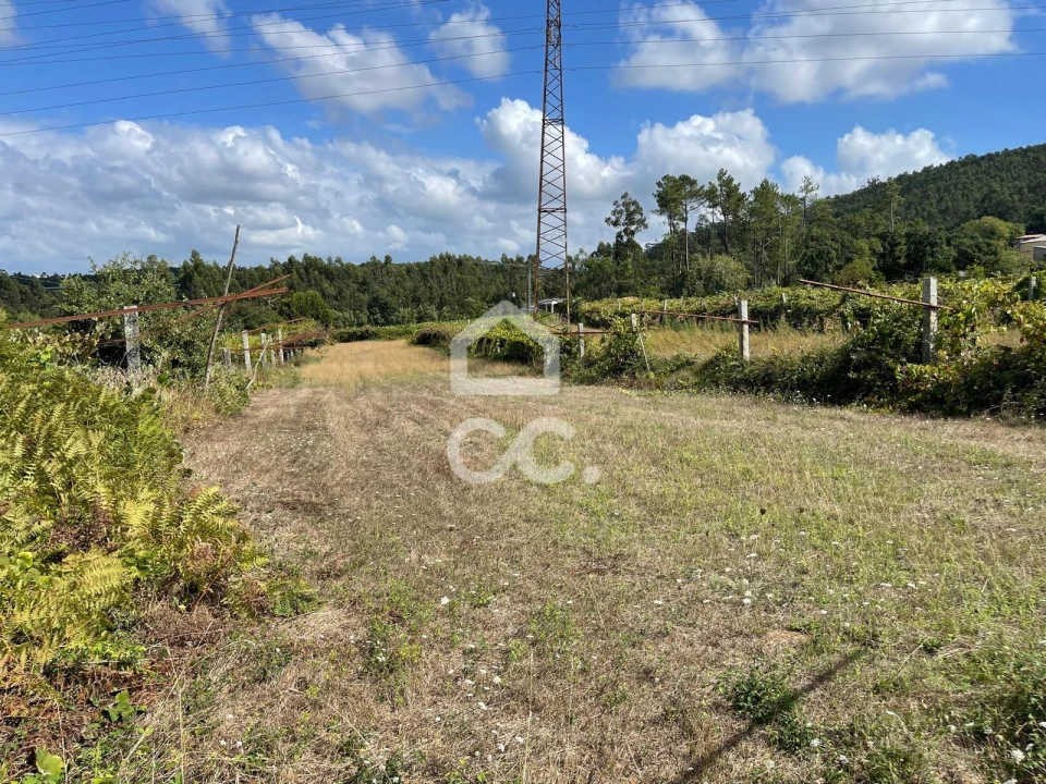Terreno para Venda em Muro Foto 1