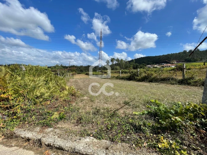 Terreno para Venda em Muro Foto 7