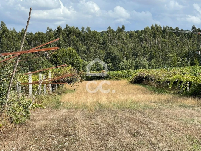 Terreno para Venda em Muro Foto 10