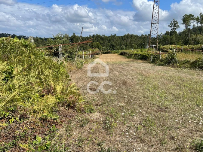 Terreno para Venda em Muro Foto 12