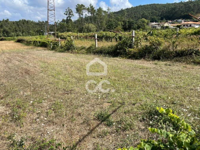 Terreno para Venda em Muro Foto 11