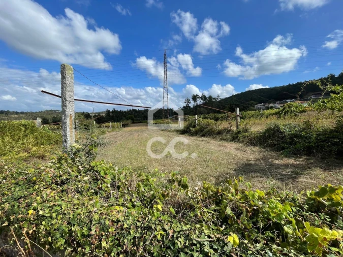 Terreno para Venda em Muro Foto 2