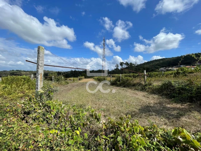 Terreno para Venda em Muro Foto 4