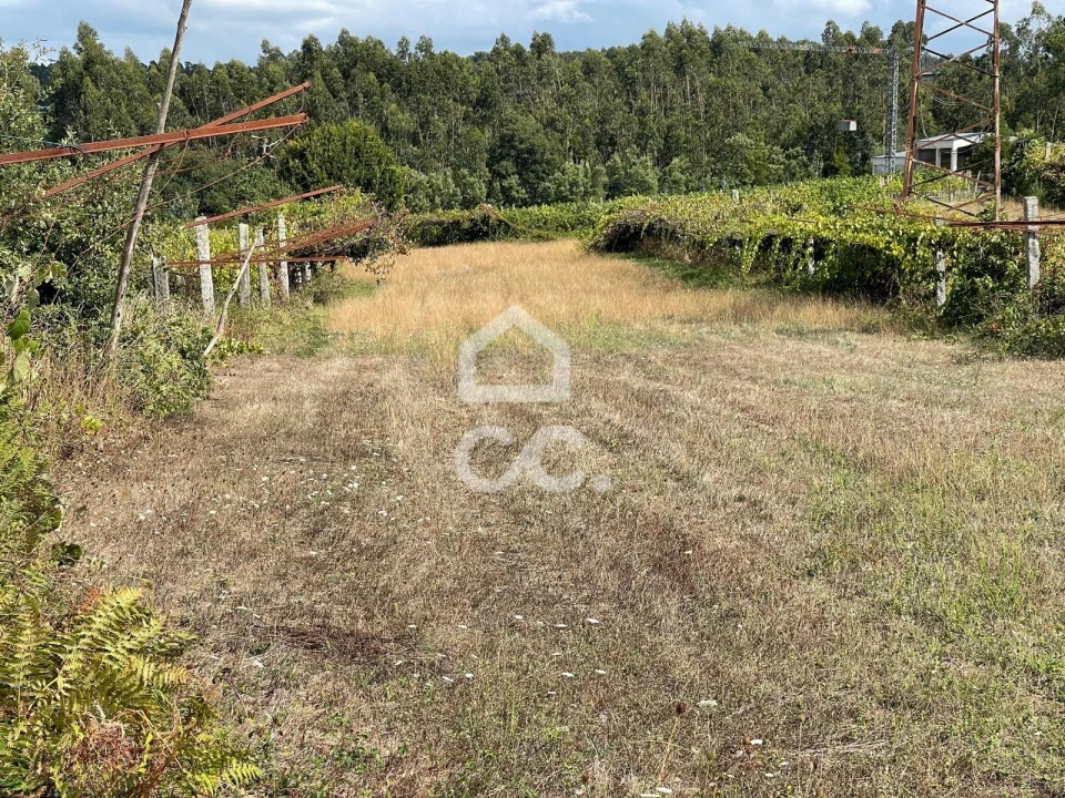 Terreno para Venda em Muro Foto 9